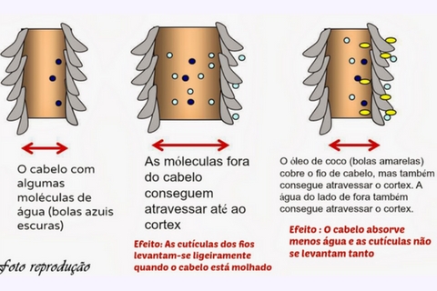 efeitos oleo de coco dermabel - cósmetico